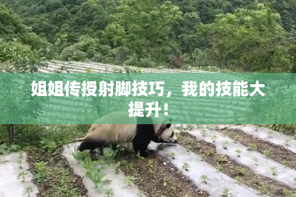 姐姐传授射脚技巧，我的技能大提升！