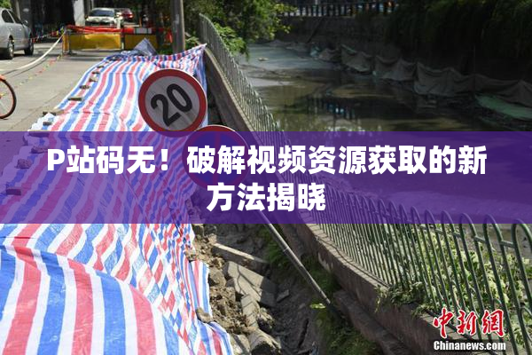 P站码无！破解视频资源获取的新方法揭晓
