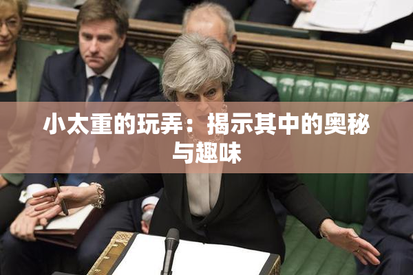 小太重的玩弄：揭示其中的奥秘与趣味