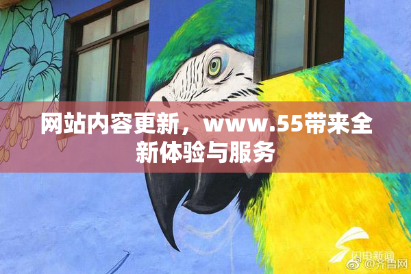 网站内容更新，www.55带来全新体验与服务