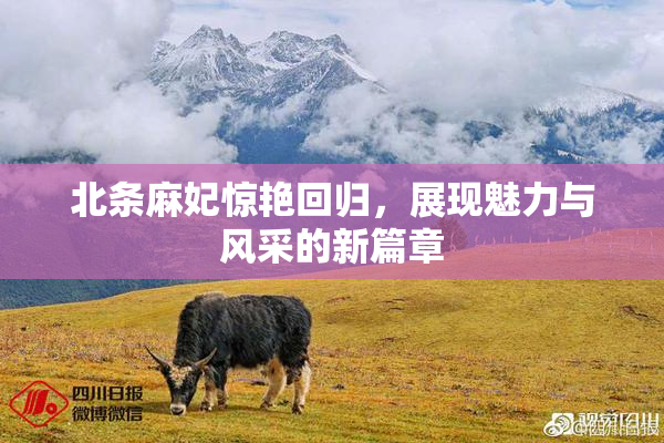北条麻妃惊艳回归，展现魅力与风采的新篇章