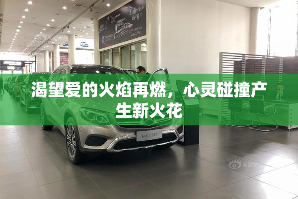 渴望爱的火焰再燃，心灵碰撞产生新火花