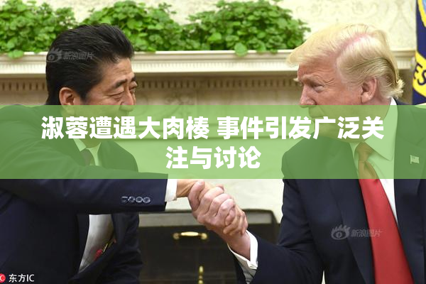 淑蓉遭遇大肉楱 事件引发广泛关注与讨论