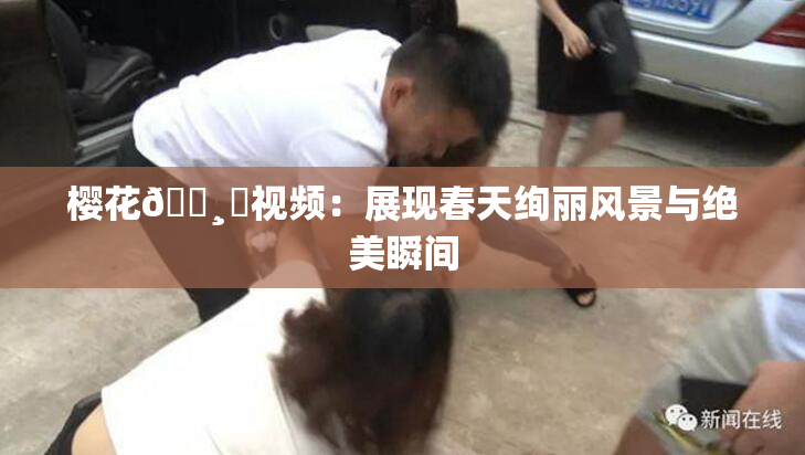 樱花🌸‌视频：展现春天绚丽风景与绝美瞬间