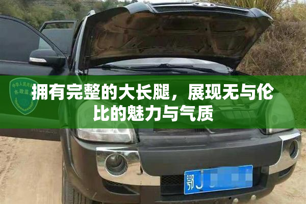 拥有完整的大长腿，展现无与伦比的魅力与气质