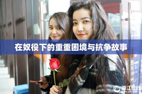 在奴役下的重重困境与抗争故事