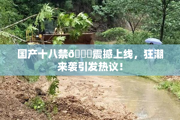 国产十八禁🔞震撼上线，狂潮来袭引发热议！
