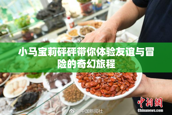 小马宝莉砰砰带你体验友谊与冒险的奇幻旅程
