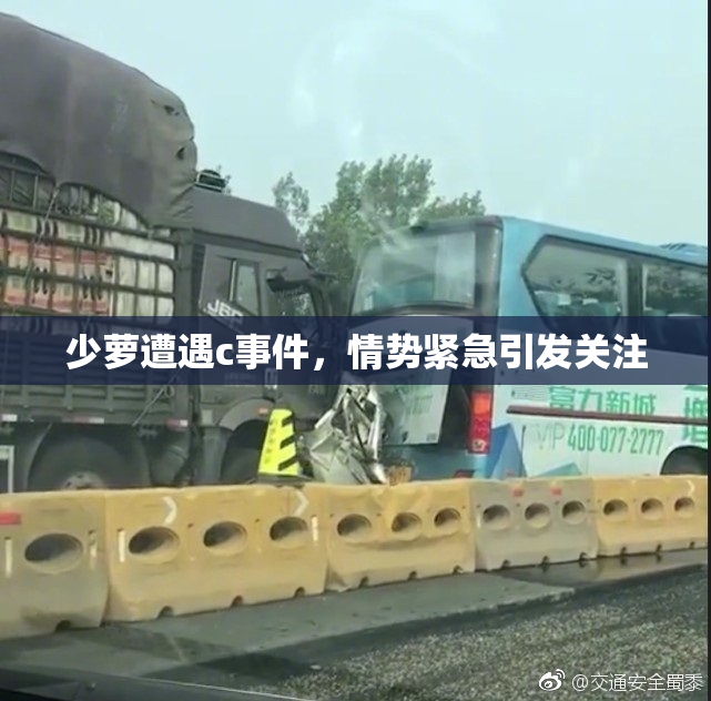 少萝遭遇c事件，情势紧急引发关注