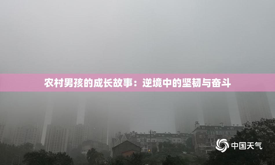 农村男孩的成长故事：逆境中的坚韧与奋斗