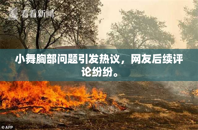 小舞胸部问题引发热议，网友后续评论纷纷。