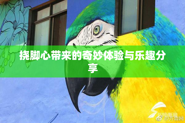 挠脚心带来的奇妙体验与乐趣分享
