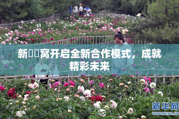 新妺妺窝开启全新合作模式，成就精彩未来