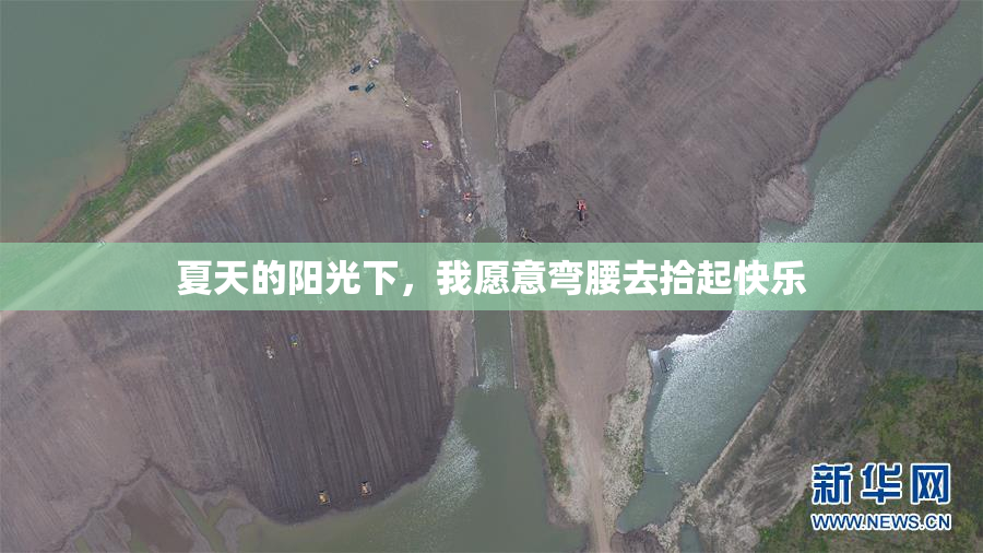 夏天的阳光下，我愿意弯腰去拾起快乐