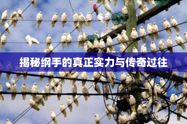 揭秘纲手的真正实力与传奇过往