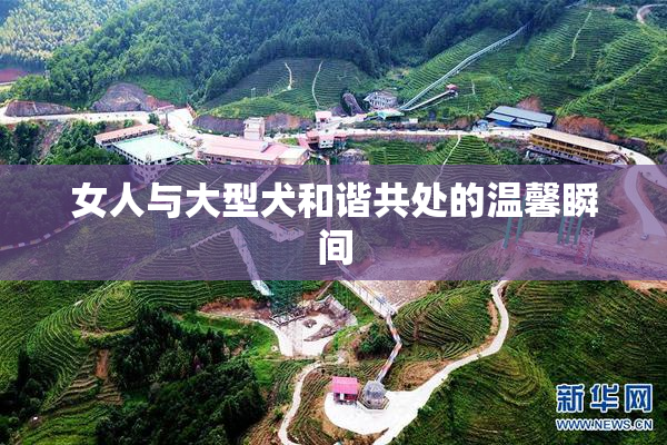 女人与大型犬和谐共处的温馨瞬间