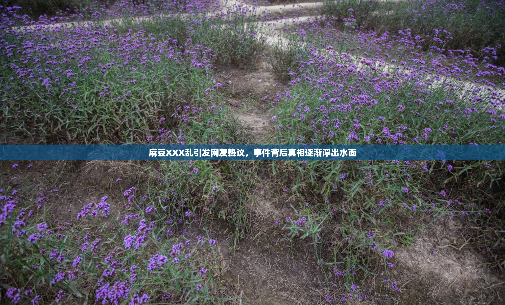 麻豆XXX乱引发网友热议，事件背后真相逐渐浮出水面