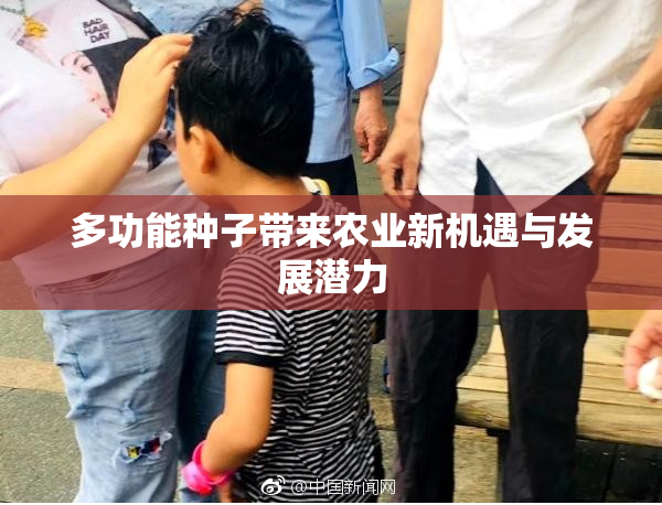 多功能种子带来农业新机遇与发展潜力