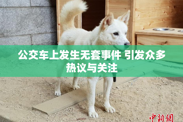 公交车上发生无套事件 引发众多热议与关注