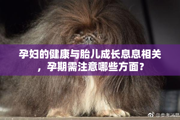 孕妇的健康与胎儿成长息息相关，孕期需注意哪些方面？