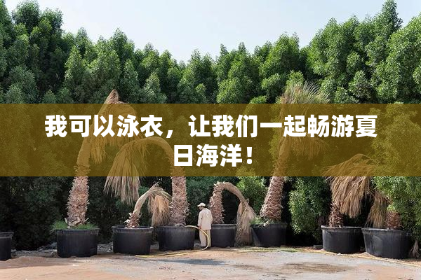 我可以泳衣，让我们一起畅游夏日海洋！