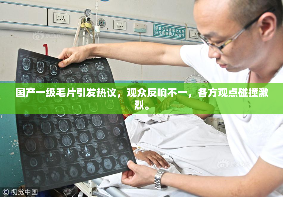 国产一级毛片引发热议，观众反响不一，各方观点碰撞激烈。