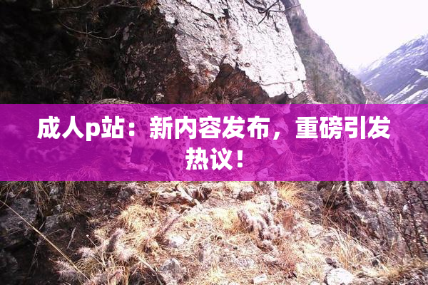 成人p站：新内容发布，重磅引发热议！