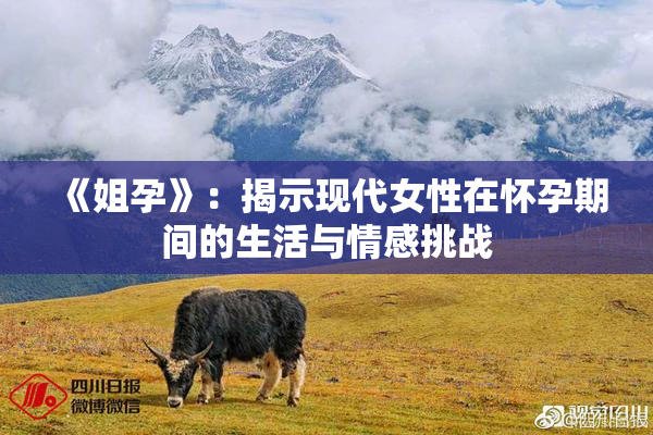 《姐孕》：揭示现代女性在怀孕期间的生活与情感挑战