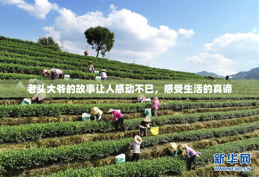 老头大爷的故事让人感动不已，感受生活的真谛