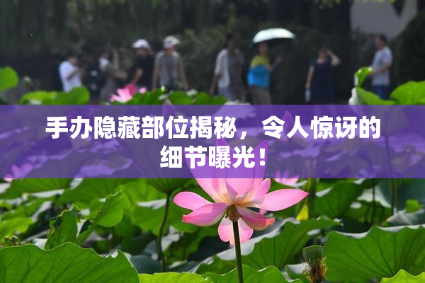 手办隐藏部位揭秘，令人惊讶的细节曝光！