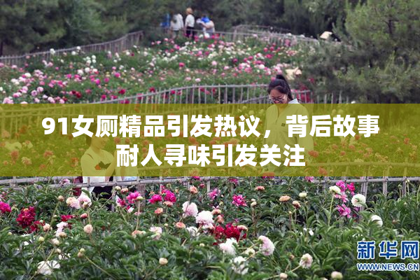 91女厕精品引发热议，背后故事耐人寻味引发关注