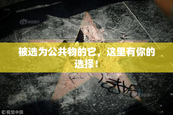 被选为公共物的它，这里有你的选择！