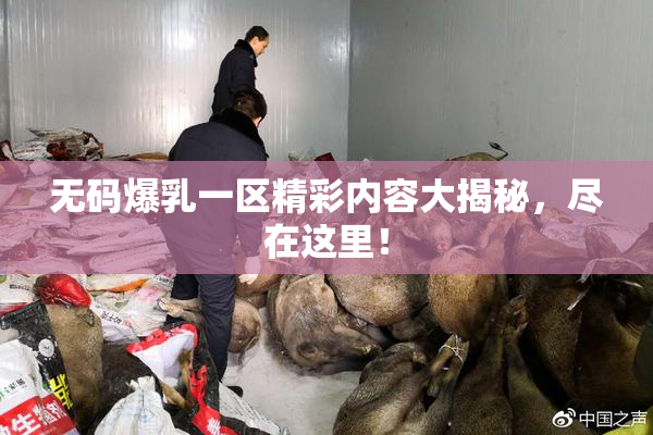 无码爆乳一区精彩内容大揭秘，尽在这里！