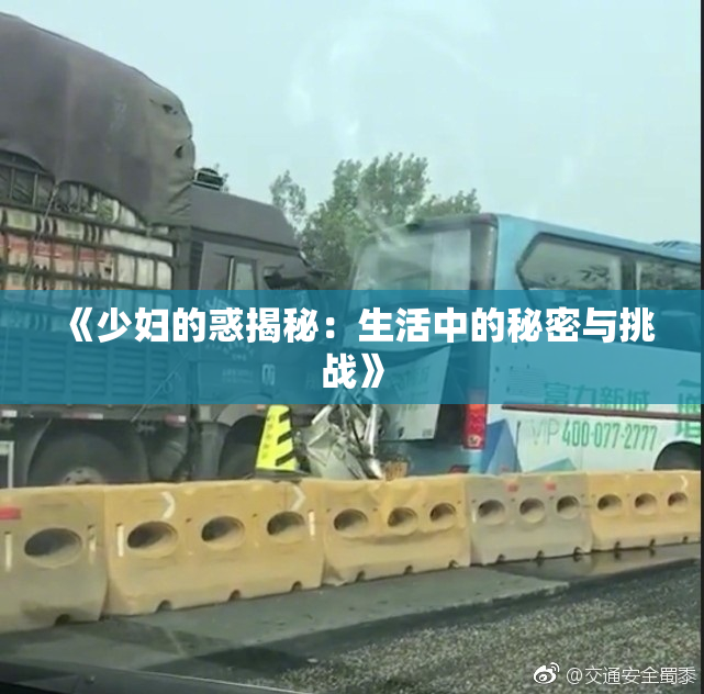《少妇的惑揭秘：生活中的秘密与挑战》