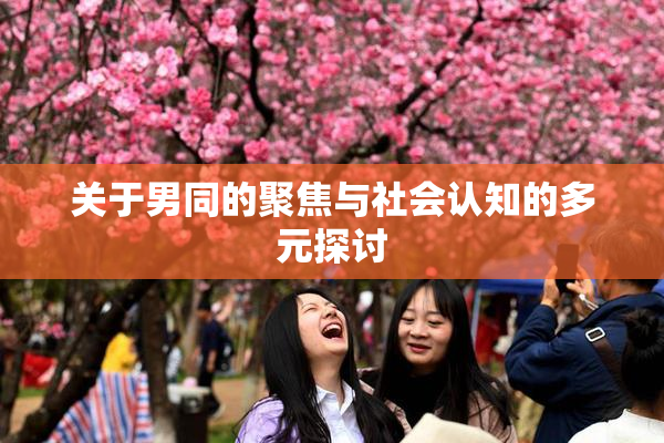 关于男同的聚焦与社会认知的多元探讨