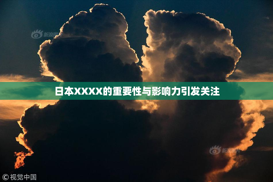 日本XXXX的重要性与影响力引发关注