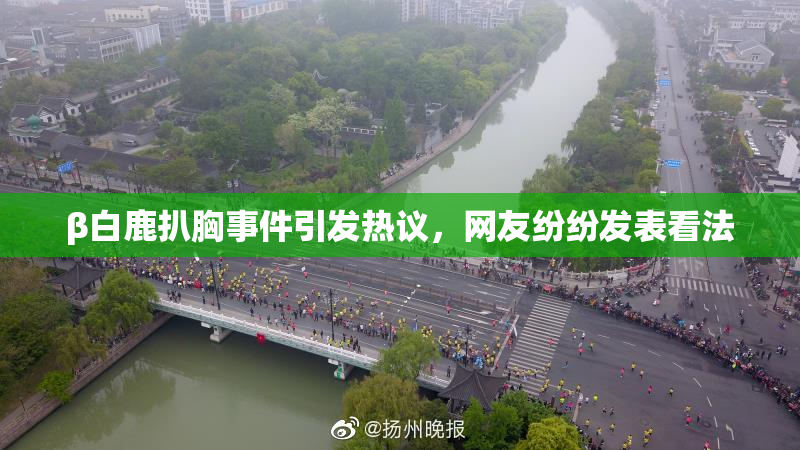 β白鹿扒胸事件引发热议，网友纷纷发表看法