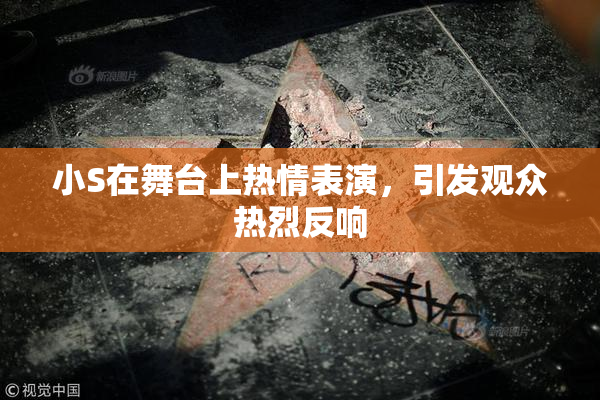 小S在舞台上热情表演，引发观众热烈反响