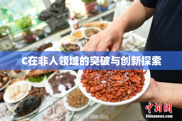 C在非人领域的突破与创新探索