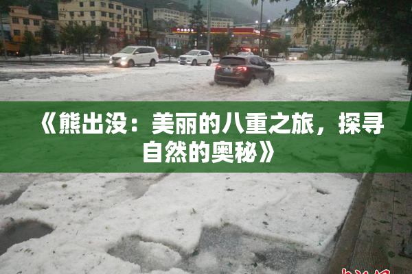 《熊出没：美丽的八重之旅，探寻自然的奥秘》