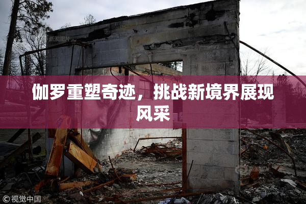 伽罗重塑奇迹，挑战新境界展现风采