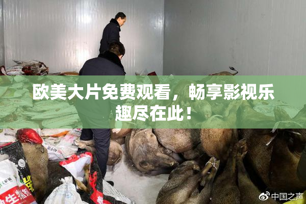 欧美大片免费观看，畅享影视乐趣尽在此！
