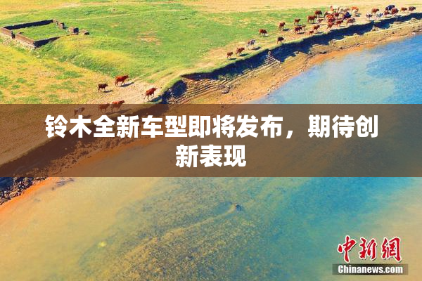 铃木全新车型即将发布，期待创新表现