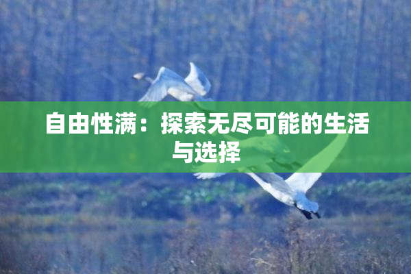 自由性满：探索无尽可能的生活与选择
