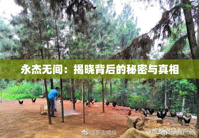 永杰无间：揭晓背后的秘密与真相