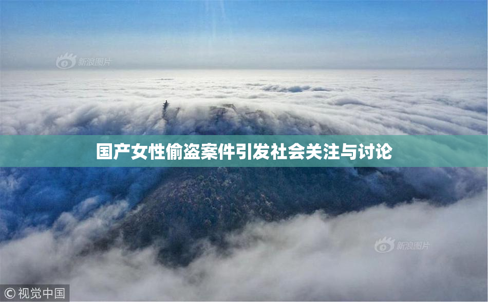 国产女性偷盗案件引发社会关注与讨论