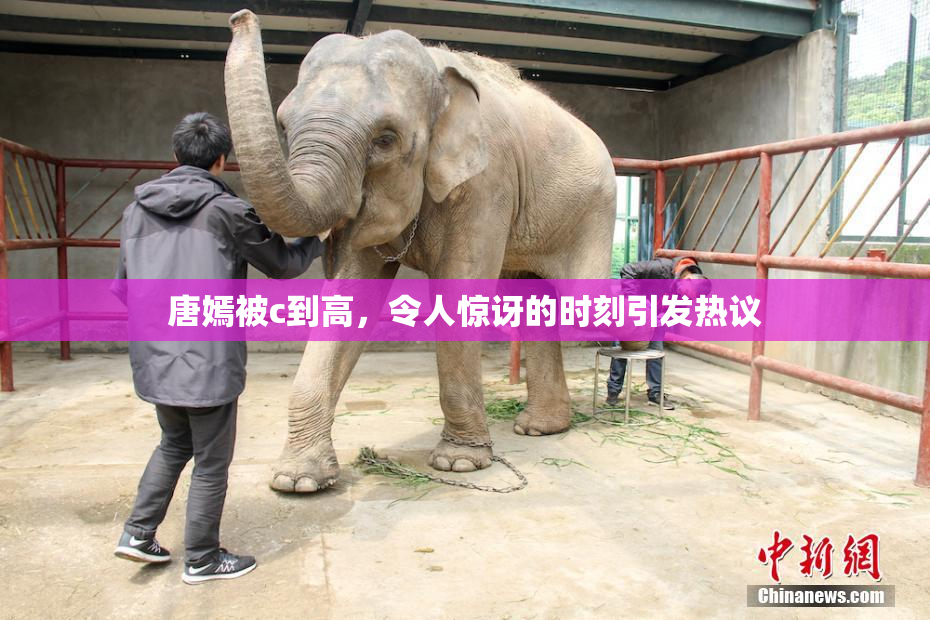 唐嫣被c到高，令人惊讶的时刻引发热议
