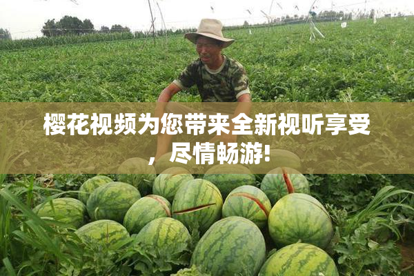 樱花视频为您带来全新视听享受，尽情畅游!