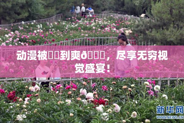 动漫被❌‌到爽🔞，尽享无穷视觉盛宴！