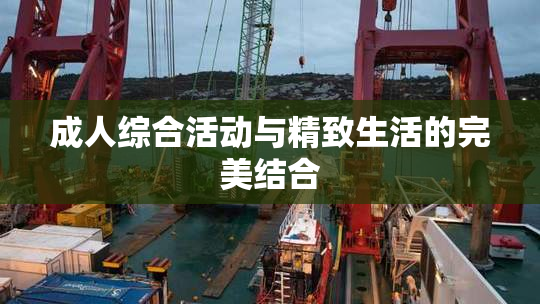 成人综合活动与精致生活的完美结合